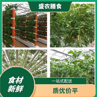 樟木头蔬菜配送与种植指南 产品推荐与健康生活之道